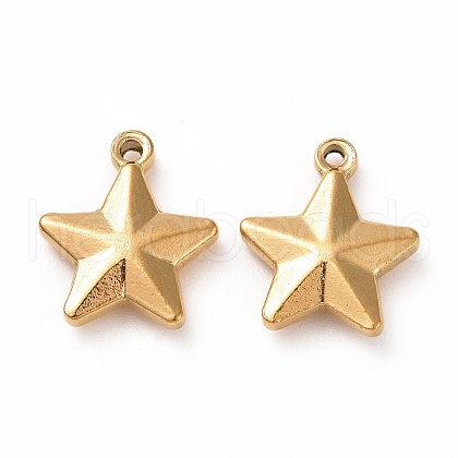 201 Stainless Steel Charms X-STAS-G081-09G-1
