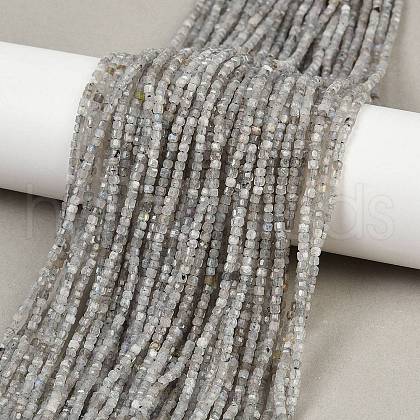 Natural Labradorite Beads Strands G-RM241221-K22-1