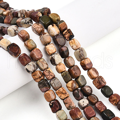 Natural Picasso Jasper/Polychrome Jasper Beads Strands G-N346-04A-05-1