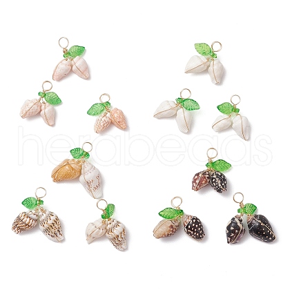 12Pcs 4 Styles Natural Sea Shell Copper Wire Wrapped Pendants PALLOY-JF03611-1