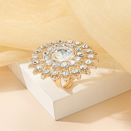 Ethnic Style Alloy & Rhinestone Finger Rings FS-WG504EF-04-1
