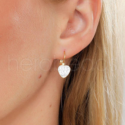 Elegant Heart Stainless Steel Hoop Earrings GM6830-1