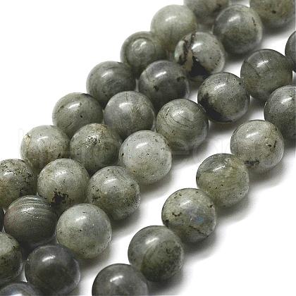 Natural Labradorite Bead Strands G-P256-01-12mm-1