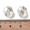 Electroplate Glass Beads EGLA-A043-03-FR03-2