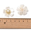 Plastic Cabochons FIND-K016-02A-3