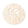 Acrylic Pendants SACR-S680-06F-1