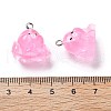 Resin Pendants RESI-A041-01C-3
