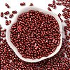 Baking Paint Glass Seed Beads SEED-L011-12A-05-2