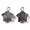 Natural Labradorite Pendants X-G-N326-36B-2