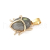 Natural Labradorite Pendants KK-Z107-02G-01-2