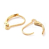 Ion Plating(IP) 304 Stainless Steel Leverback Earring Findings STAS-K233-04G-01-3