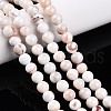 Natural Persian Jade Beads Strands G-A255-A02-01K-1