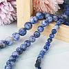 Yilisi 3 Strands 3 Style Natural Blue Spot Jasper Beads Strands G-YS0001-03-10
