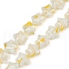 Handmade Millefiori Glass Beads Strands LAMP-H067-01A-1
