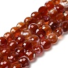 Natural Fire Crackle Agate(Dyed & Heated) Beads Strands G-C179-A6mm-23-2