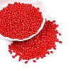 Baking Paint Glass Seed Beads SEED-T006-03S-3