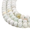 Natural Green Opal Beads Strands G-Z035-A02-03D-4