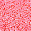 Opaque Baking Paint Glass Seed Beads SEED-T008-02H-3