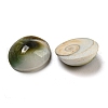 Conch Sea Shell Cabochons BSHE-Z005-08-2
