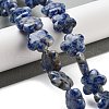 Natural Blue Spot Jasper Beads Strands G-F769-D01-01-2