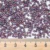 MIYUKI Round Rocailles Beads X-SEED-G007-RR1013-4