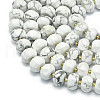 Natural Howlite Beads Strands G-P573-B02-01-3
