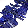 Natural Gemstone Lapis Lazuli Beads Strands X-G-L156-05-1