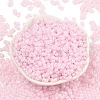 Baking Paint Glass Seed Beads SEED-L011-09A-09-2