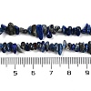 Precious Chip Lapis Lazuli Beads Strands. 3~5mm F043-3