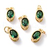 Real 18K Gold Plated Brass Inlaid Cubic Zirconia Charms ZIRC-L100-079G-05-1