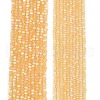 Transparent Glass Beads Strands EGLA-A044-T1mm-MB03-2