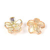 Transparent Electroplate Glass Bead Caps EGLA-N015-01C-2
