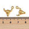 304 Stainless Steel Charms STAS-F317-11G-3