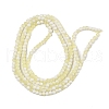 Frosted Crackle Glass Beads Strands X1-GLAA-U001-4mm-M11-3