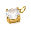 304 Stainless Steel Micro Pave Cubic Zirconia Pendants STAS-U042-02B-G-2