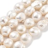 Natural Cultured Freshwater Pearl Beads Strands PEAR-P062-31C-2
