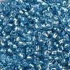 6/0 Glass Seed Beads SEED-T006-04C-06-3