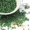Glass Seed Beads SEED-S042-04B-26-1