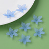 Transparent Acrylic Beads MACR-S373-127-D04-3