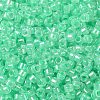 Glass Seed Beads SEED-S042-13A-11-3