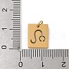 304 Stainless Steel Charms STAS-R001-03G-05-3