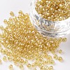 Glass Seed Beads SEED-A006-3mm-102B-1