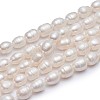 Natural Cultured Freshwater Pearl Beads Strands Rice A23TR011-2