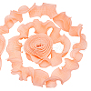 Chiffon Organza Pleated Lace Trim DIY-WH0892-01B-1