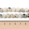 Natural Rainbow Moonstone Beads Strands G-H093-B01-8MM-4