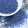 MIYUKI Round Rocailles Beads SEED-G007-RR0019-1