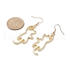 Zinc Alloy Hollow Out Cat Dangle Earrings EJEW-JE05148-01-3