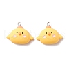 Resin Pendants X-RESI-K018-01-2
