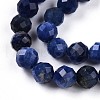 Natural Sodalite Beads Strands G-S345-6mm-26-4
