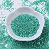 MIYUKI Delica Beads SEED-X0054-DB0238-2